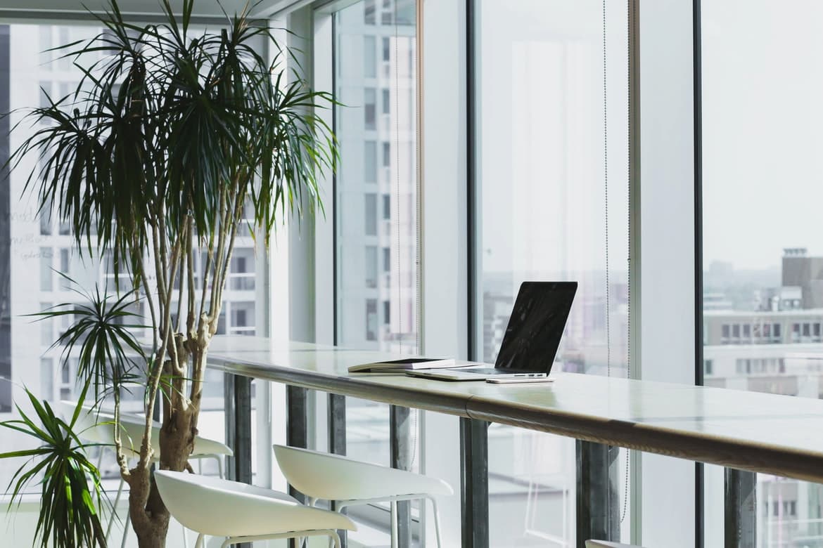 Office environment with plants and laptop on desk.